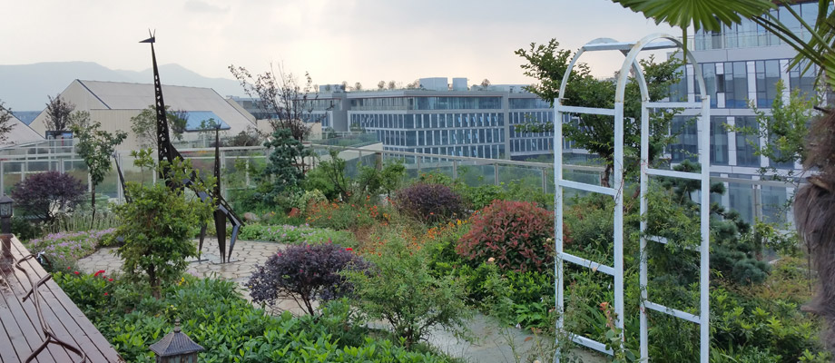 南京萬(wàn)通城市建設設計院弱電系統項目案例。